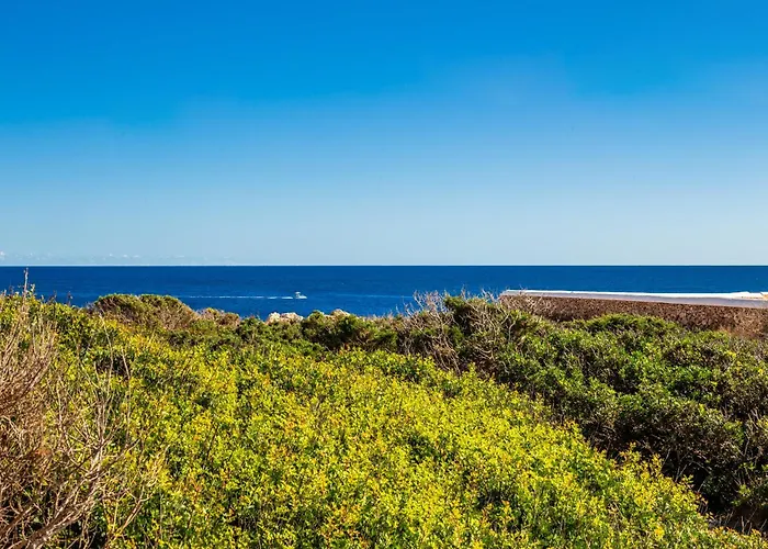 Goyo * كالا ان بوسش